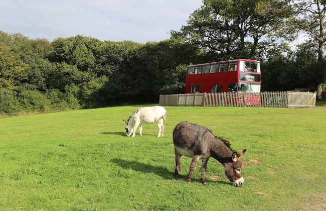 Fosfelle Glamping - Photo 5