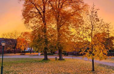 FeWo Elbtalaue III - Foto 7