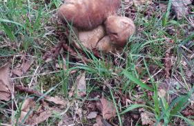 Annina house - Foto 34