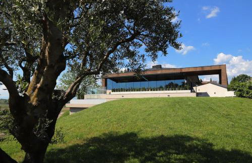 Azienda Agricola Galliussi - Photo 9