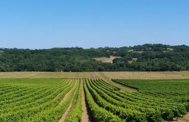 gite la bergerie - Foto 31