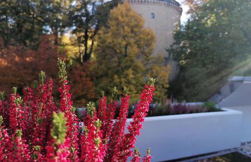 Apartment Serenade am Zwinger - Foto 30