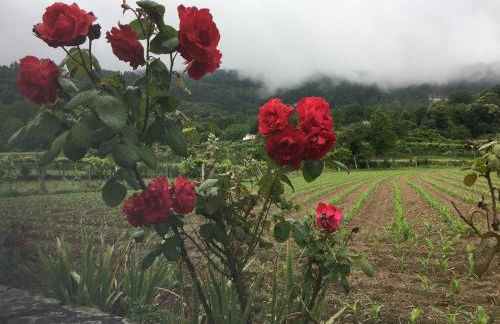 Casa do Reguengo - Foto 33