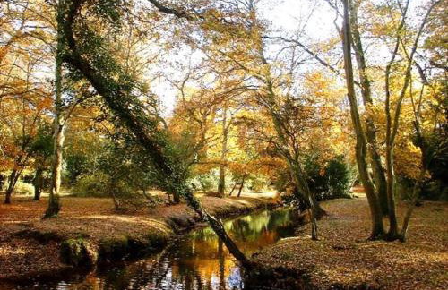 Luxury New Forest Barn, ideal for couples - Photo 22