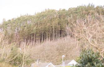 Oak House in Mid Wales with Log Burner By Seren Short Stays - Foto 79