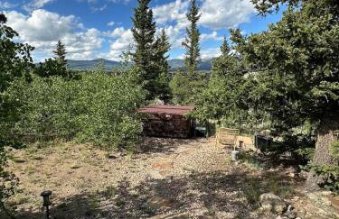 Rocky Mt Cabin 2bed loft Hot Tub Amazing Views - Photo 32