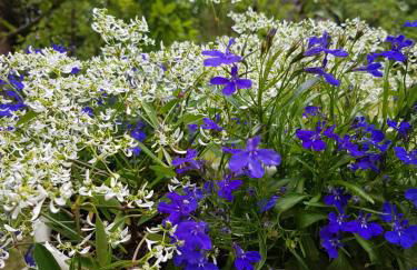 Ferienwohnung Hönnetal - Foto 11