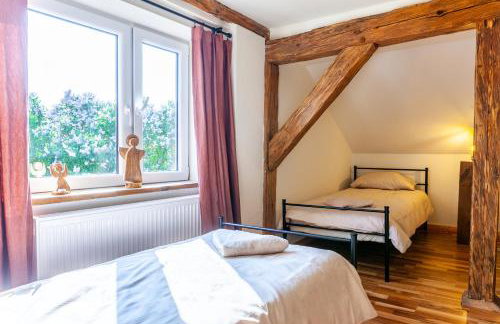 Zakątek Szczęścia Eko Agroturystyka - Foto 7