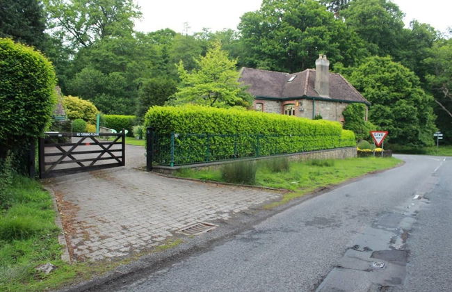 Colourful Forest of Dean Pikehouse - Foto 24