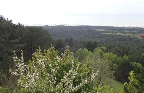 Gîte « Les Oyats » à 400 m de la plage - Foto 46
