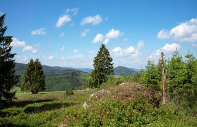 Apartment Near Willingen & Winterberg Ski Slopes - Photo 29