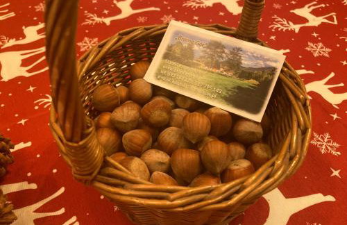 Brama Gór - Foto 51