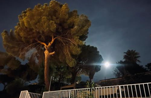 Villa Oromana - Photo 26