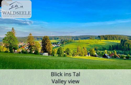 Exklusives 5-Sterne Apartment Waldseele mit Indoor-Pool, Sauna, top Lage und Ausblick in die Natur, Hunde willkommen - Foto 17