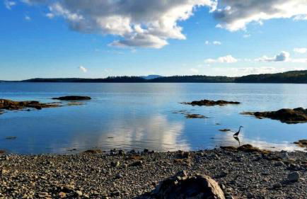 Charming Dog-Friendly Beach House with Fire Pit & Jetted Tub Near Carters Beach in Hancock, Maine - Foto 42