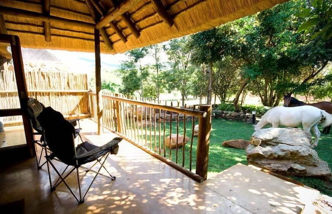 Caracal Lodge - Foto 14