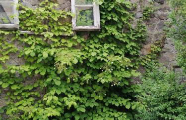 Le Cosy de Claire - Foto 42