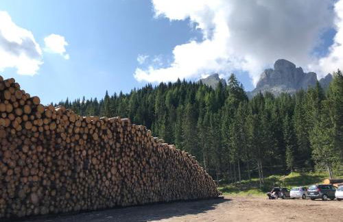 Da Sandra e Fulvio - Foto 20