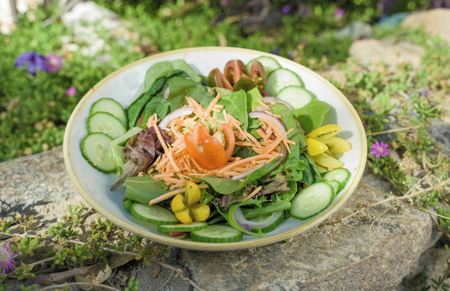 Tanque Verde Ranch - Foto 75