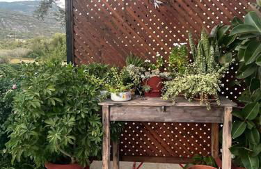 Tiki Rooms - Foto 53