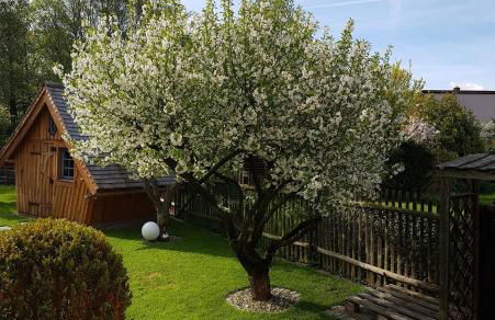 Haus Ilsegarten - Foto 41