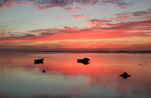 Panorama Lake Resort - Foto 37