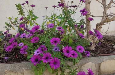 La casa del mar Nuimna - Foto 72