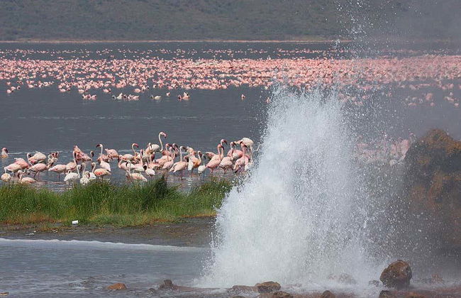 Excursión privada de 2 días al Lago Bogoria - Foto 2