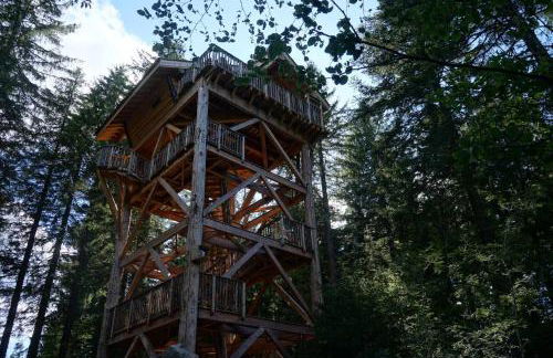 Cabanes des Volcans - Foto 26