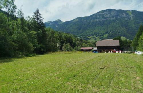 Châlet 8 personnes + grand terrain et rivière - Foto 23