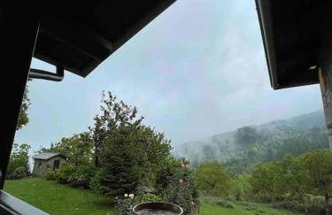 Παραδοσιακή πέτρινη κατοικία στην Βλάχα Ελάτης - Foto 14