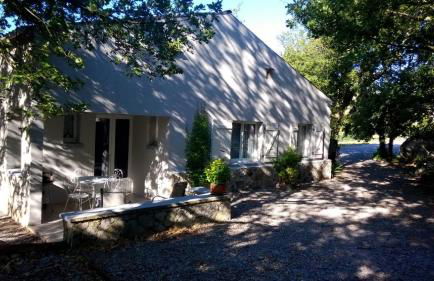 Les Grillons - Photo 5