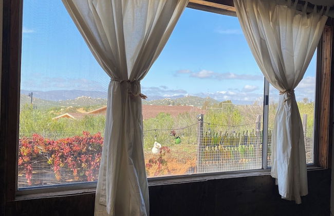 Posada San Antonio - Foto 15