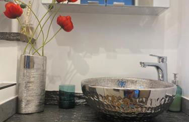 Paris-Zénith-bienvenue-terrasse-Netflix - Foto 17