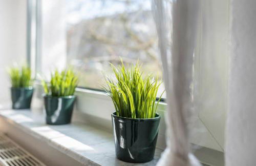 am Hirnach 2 - Foto 18