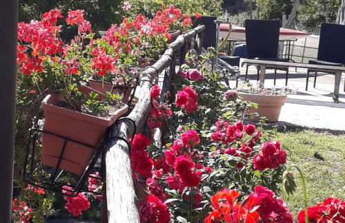 Il giardino del borgo - Foto 31