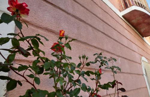 Agriturismo Cuca - Foto 53