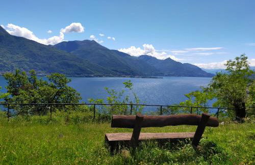 Casa Amarela - Photo 15