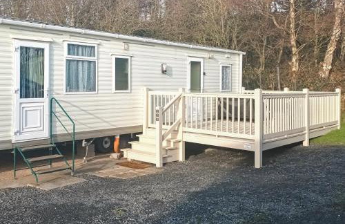 Cookies Corner - Photo 16