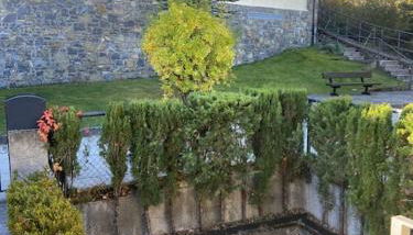 Casa Belius - Photo 4, Garden, Garden view