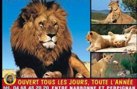 Chalet La Mer Veille 1 - Foto 30