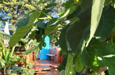 Sea Mountain House - Foto 53