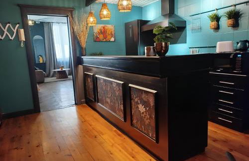 Nancy Vieille Ville Stanislas - Foto 36