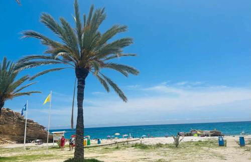 Sol Mediterráneo - Palm Beach 3 - Photo 23