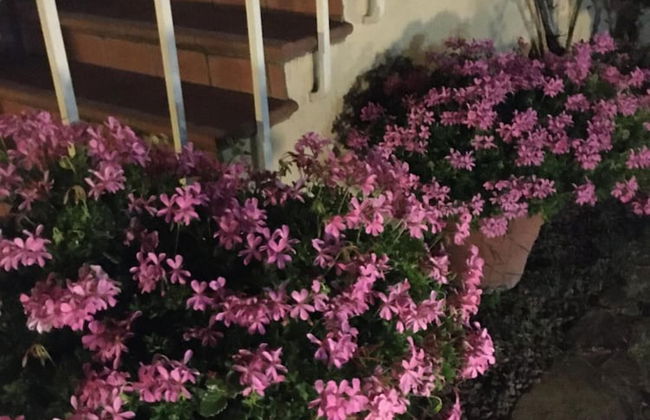 Agriturismo Podere Bucine Basso - Foto 54