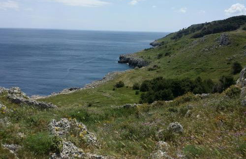 Corte del sole Salento - Foto 24