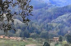 Villa con parco e piscina-Camaiore - Photo 1
