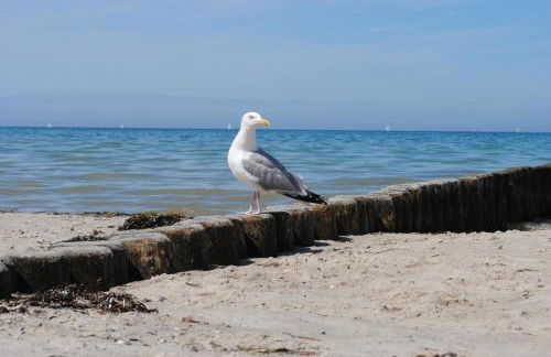 Ferienwohnung BROMBEERE mit großem Garten und Balkon - Foto 15