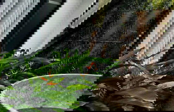 Dau Rong Resort - Foto 39