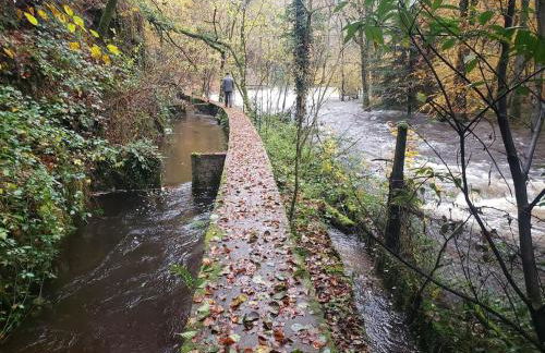 3 Apts Moulin SAGE - Foto 31